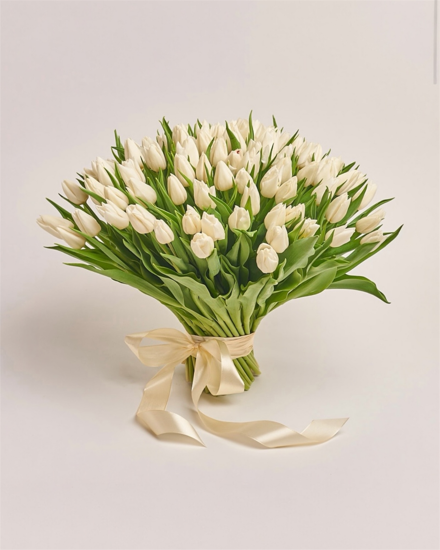 The Century of Purity – 100 White Tulips Bouquet