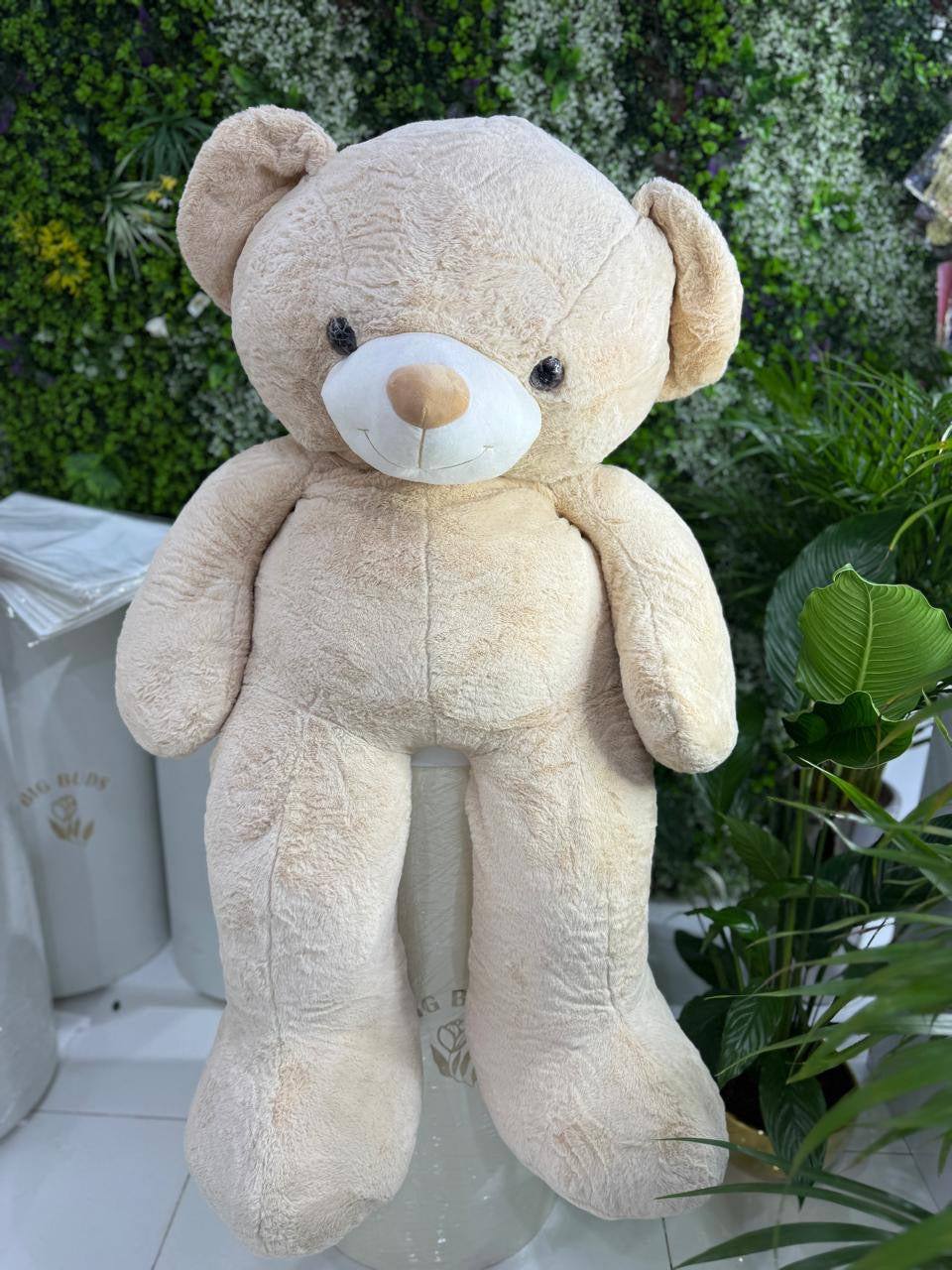 Giant Bear/Creamy Dream Fur