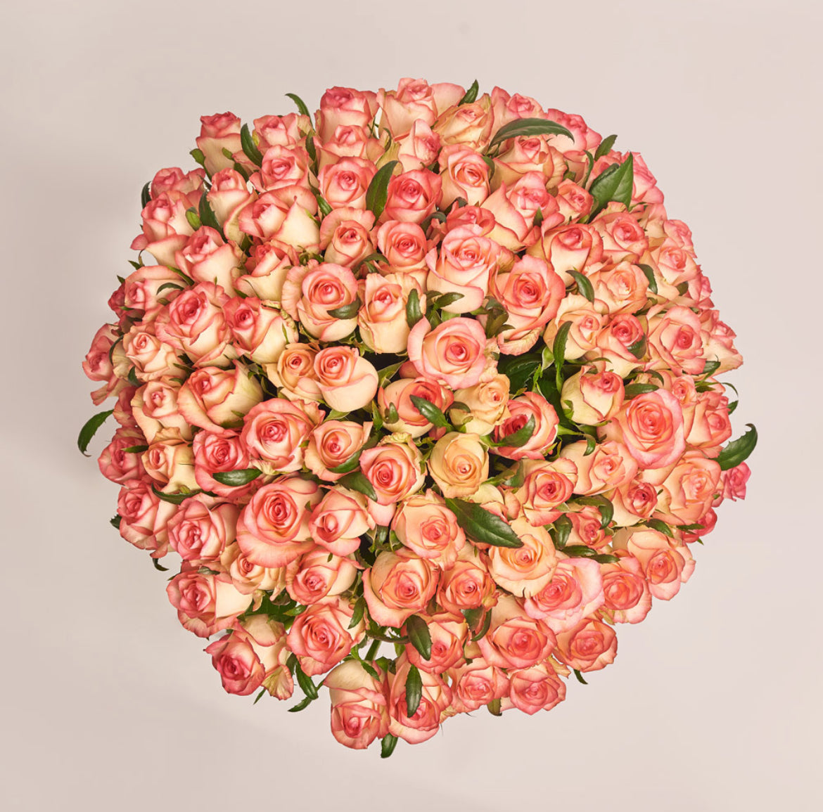 101 Jumilia Roses Bunch