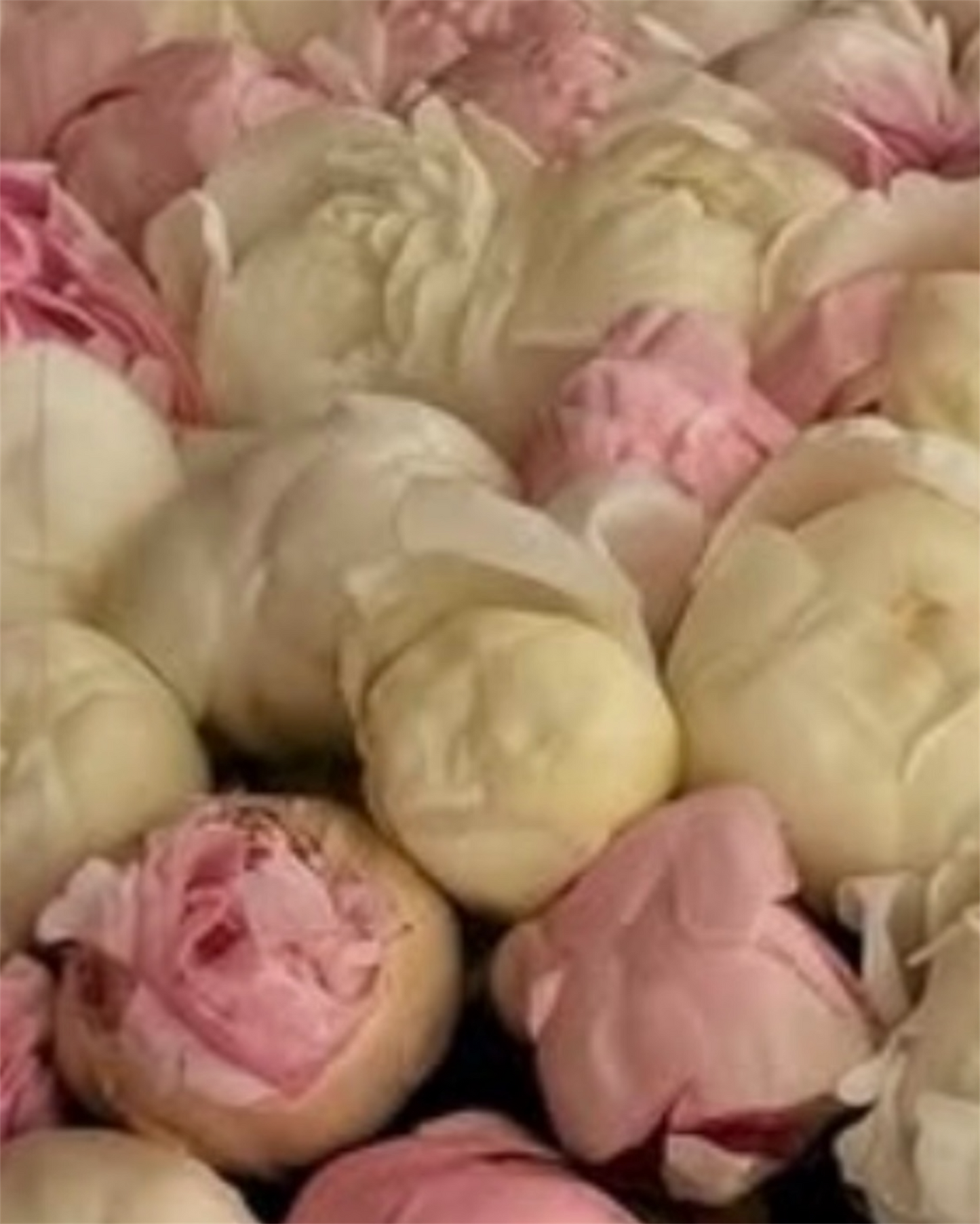 201 Perfect Peonies Basket