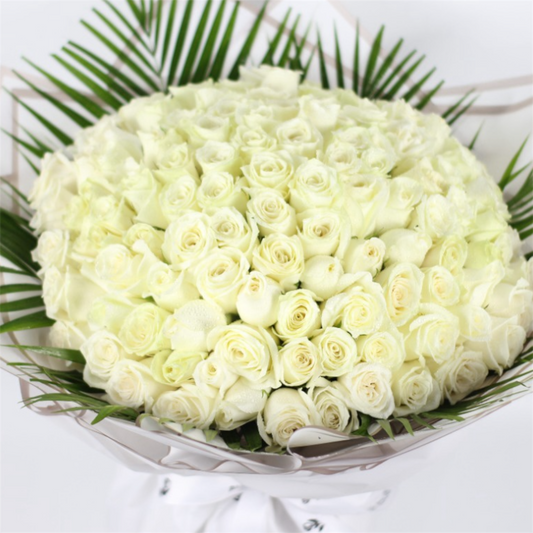 The Wow Factor| 100 White Roses