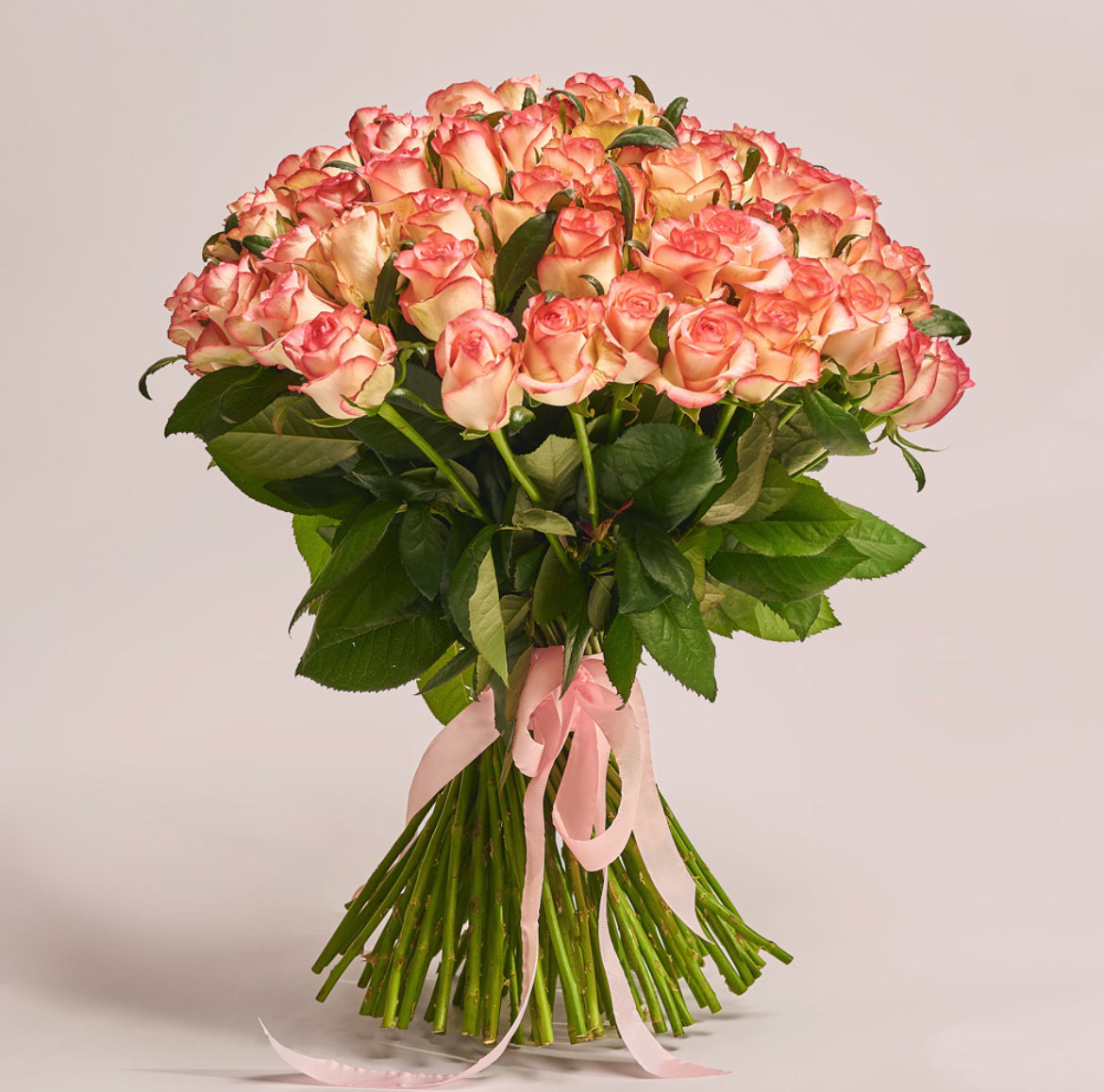 101 Jumilia Roses Bunch