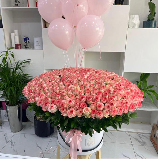 The "Royal Jumilia" 401 Roses Mega-Box